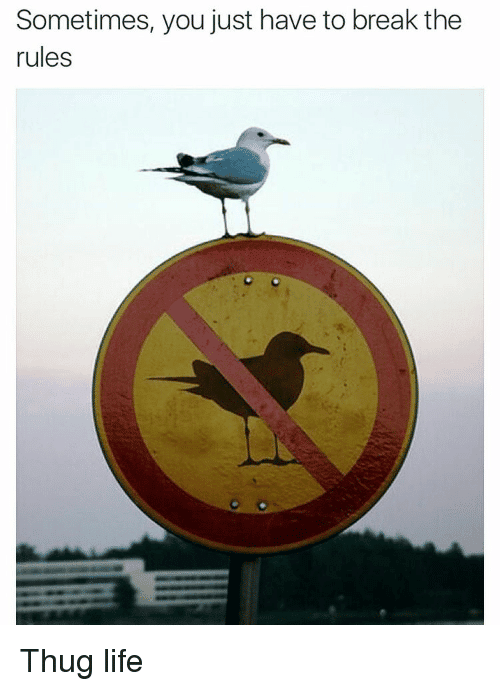 a bird standing on a sign post