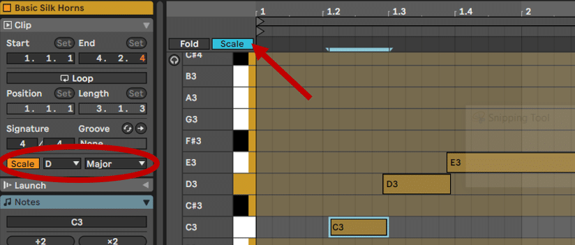 Enabling Scale Mode in Ableton Live